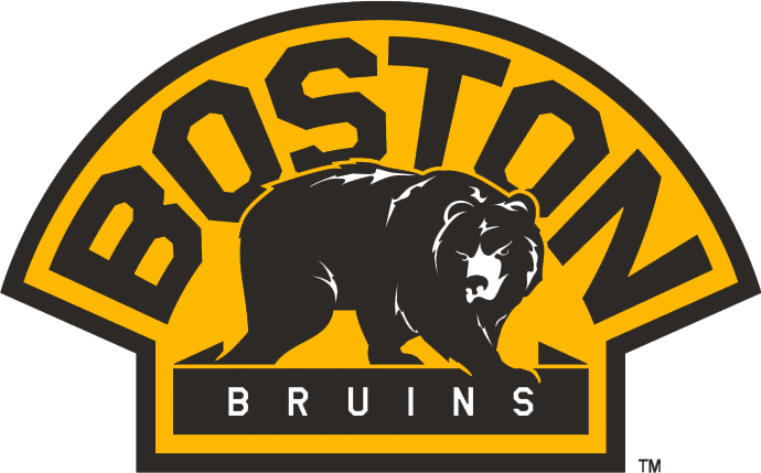 Boston Bruins 2007-Pres Alternate Logo iron on heat transfer...